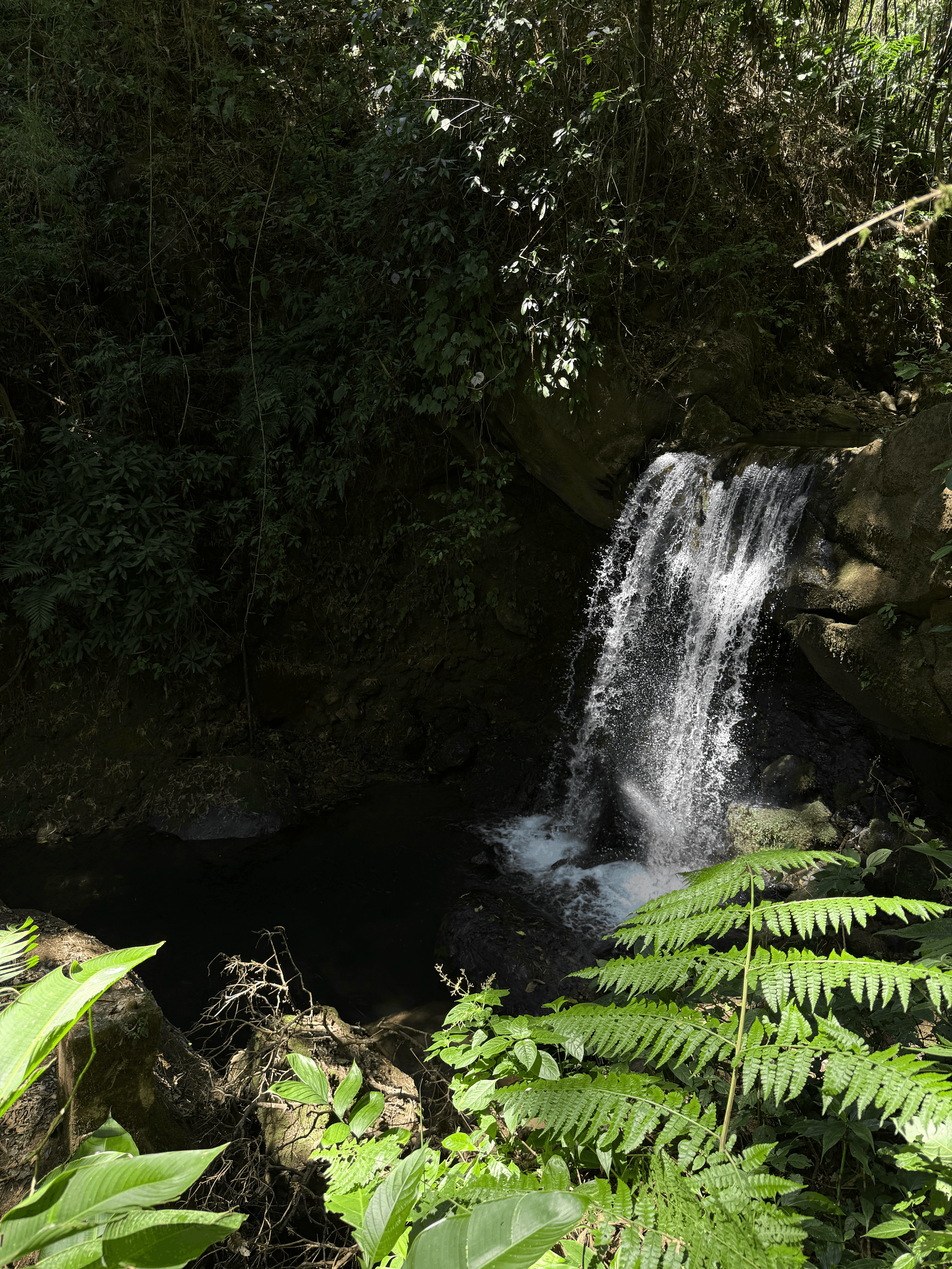 Cascada en Finca Colorado Springs