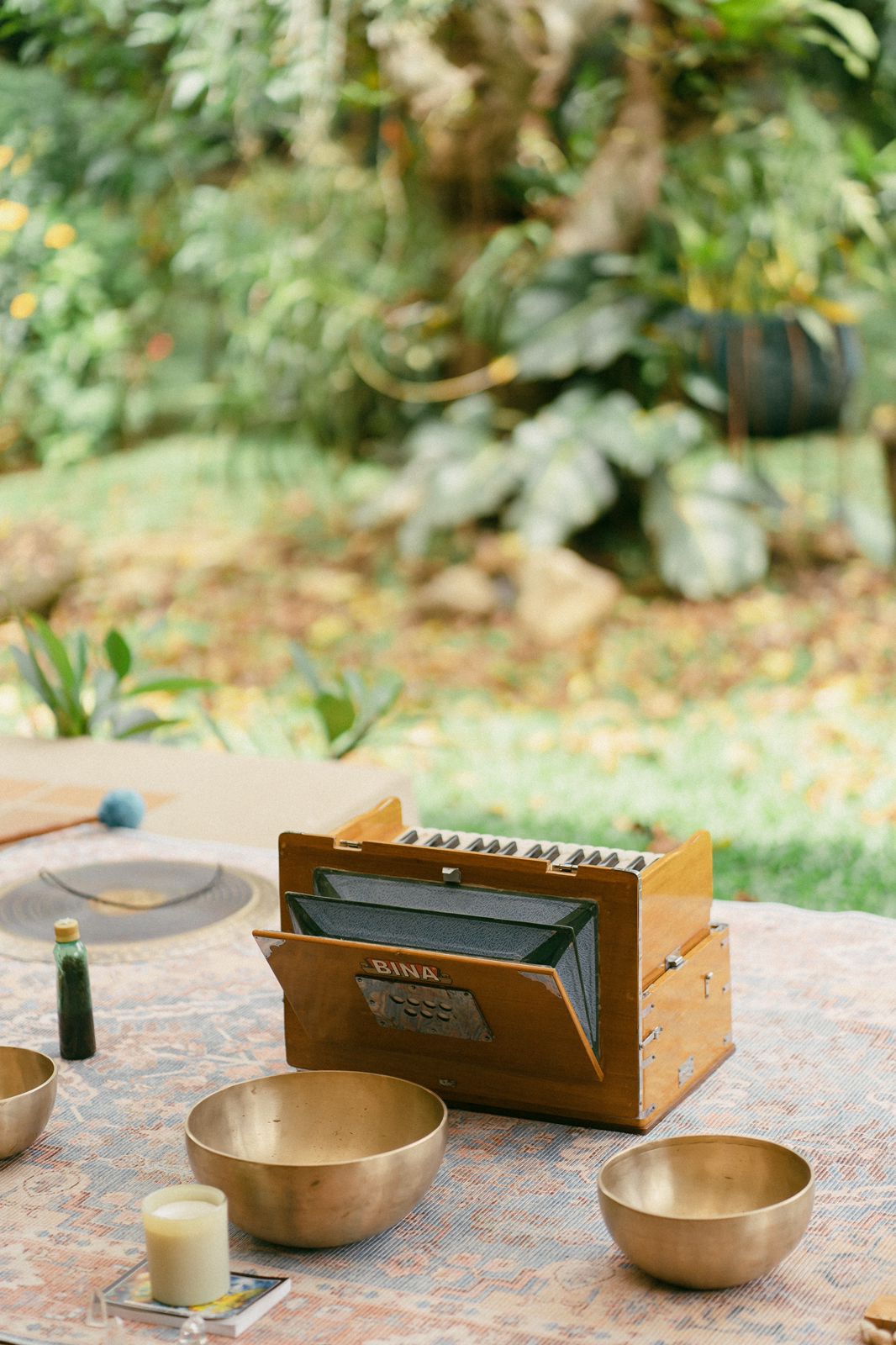 Disposición de instrumentos para sesión de sonido en el jardín